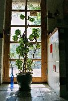 2055.jpg  1025x1518  243 KB